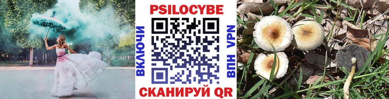 Псилоцибиновые грибы Psilocybine cubensis  купить наркотик  Чудово 